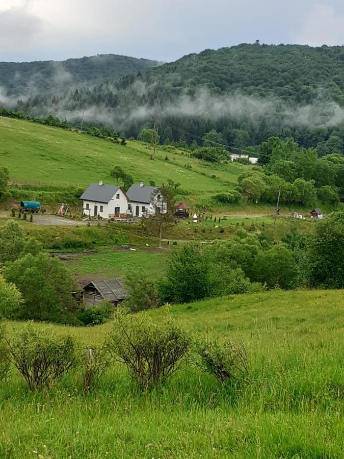 Domki W Bieszczadzkiej Dolinie Устшики Долне Екстериор снимка